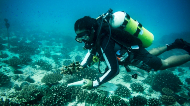 Dive-in-virtually-to-protect-the-oceans