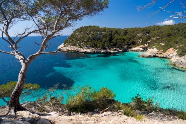 Sunseeker-Launches-Project-Menorca-With-The-Blue-Marine-Foundation-Charit